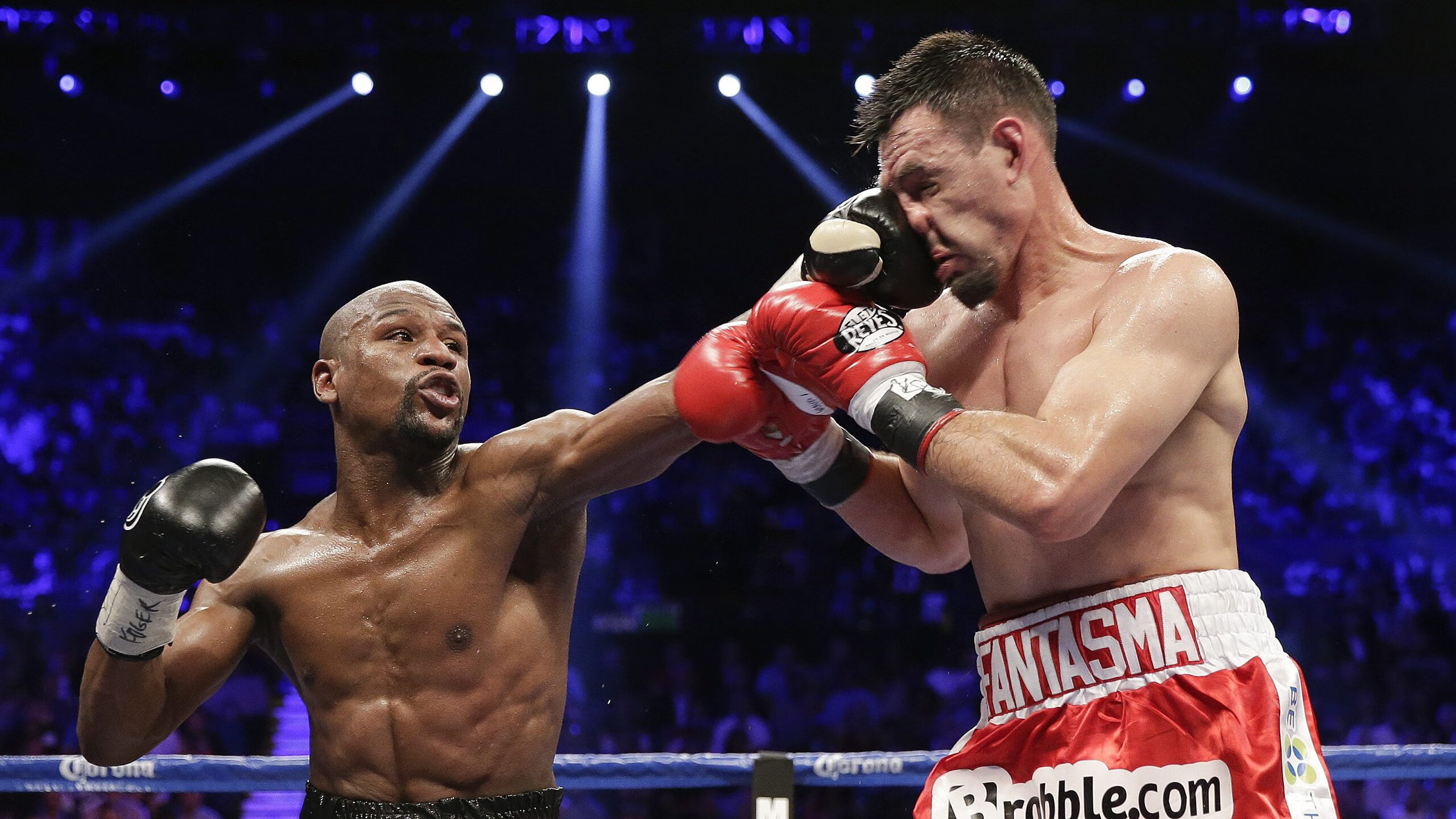 科维托娃关键节点逆转，TL带队取胜！