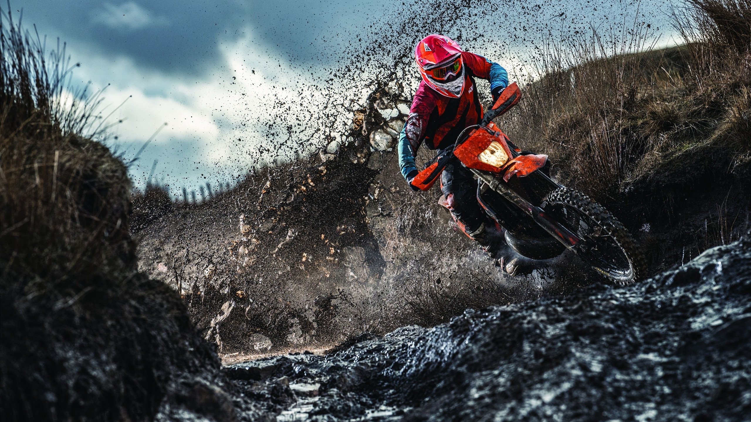 Scout爆冷击败澳大利亚队，挺进下一轮引爆全场！